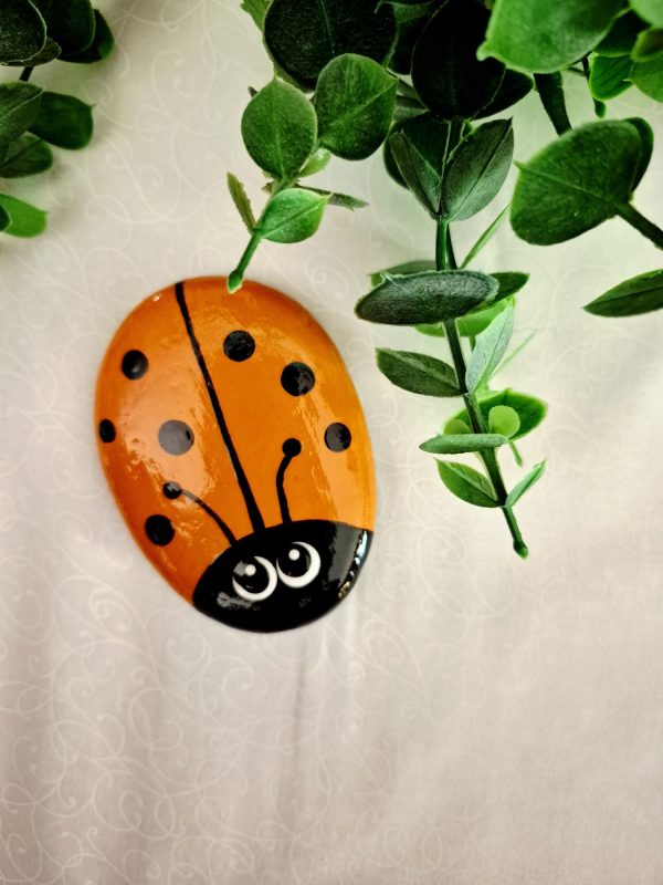 Painted Lady Bug Rocks - Light Orange (FS/M) - Image 3