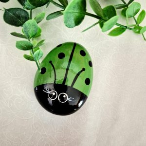 Painted Lady Bug Rocks - Green (JT/F)