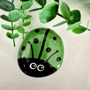 Painted Lady Bug Rocks - Teal (JT/M)
