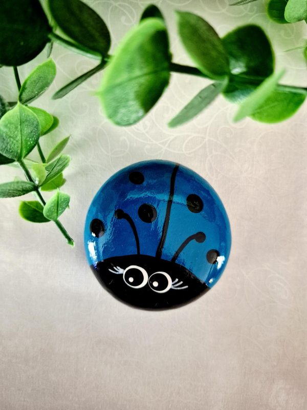 pet rock