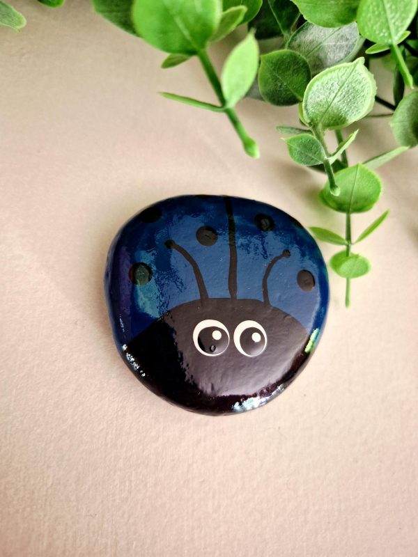 ladybug rocks