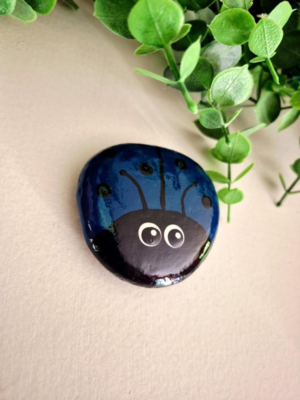 ladybug rocks