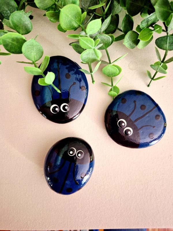 ladybug rocks