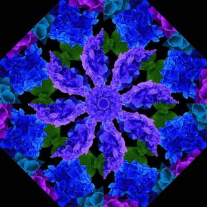 midnight blooms pre cut quilt kit, kaleidoscope quilting