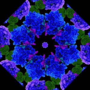 midnight blooms pre cut quilt kit, kaleidoscope quilting