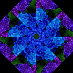 Midnight Blooms Pre-Cut Kaleidoscope Kit (12-7" Blocks)